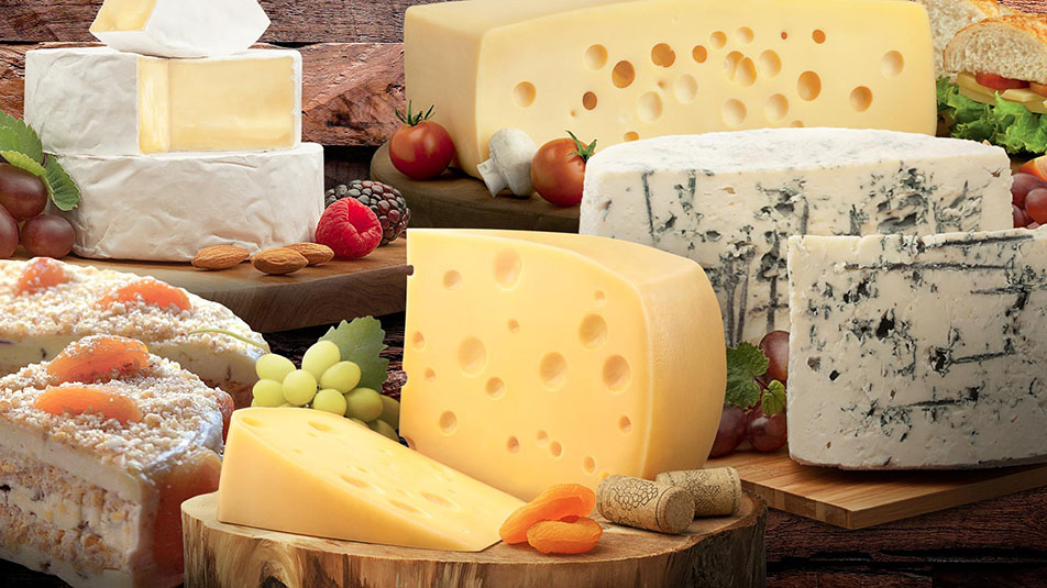 Como armazenar os queijos corretamente: veja as dicas - Distribuidora